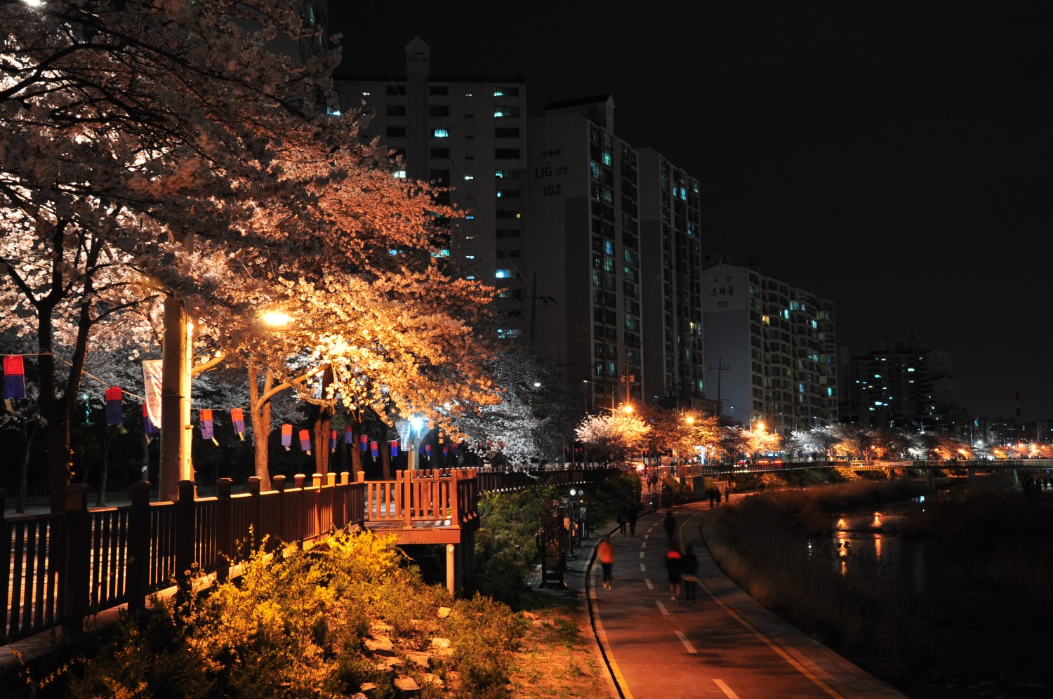 Kim Jungwha-night